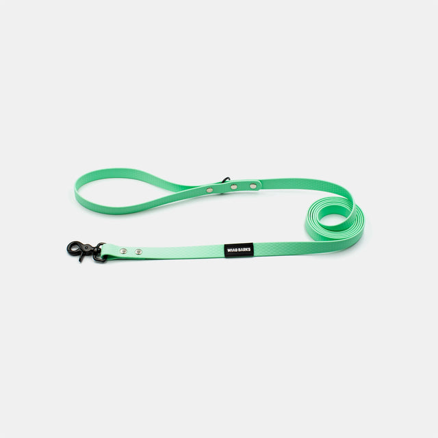 wild barks caribbean green εξαγωνικός αδιάβροχος οδηγός περιπάτου σκύλου