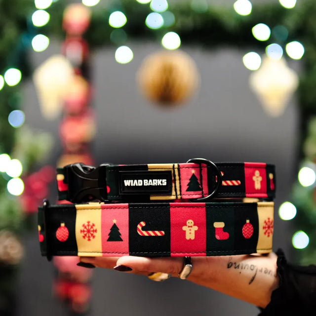 wild barks xmas dog collar