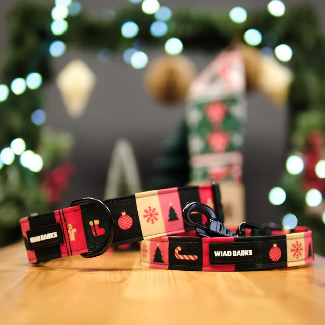 wild barks xmas dog collar