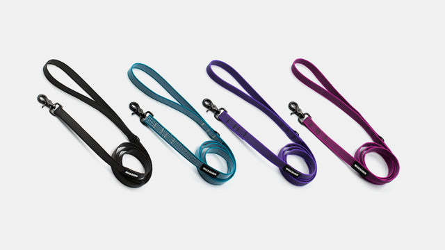 wild barks anti-slip leashes