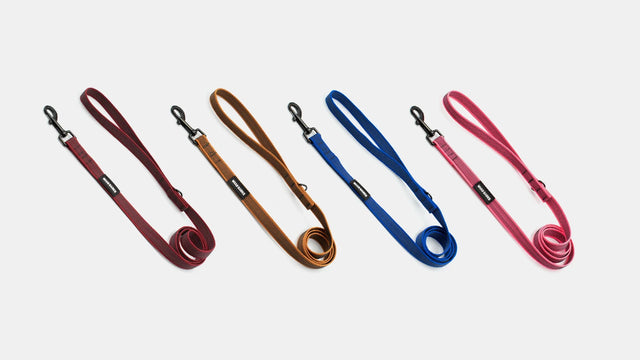 wild barks anti-slip dog leashes