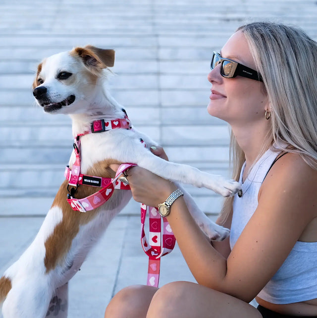 wild barks love collection