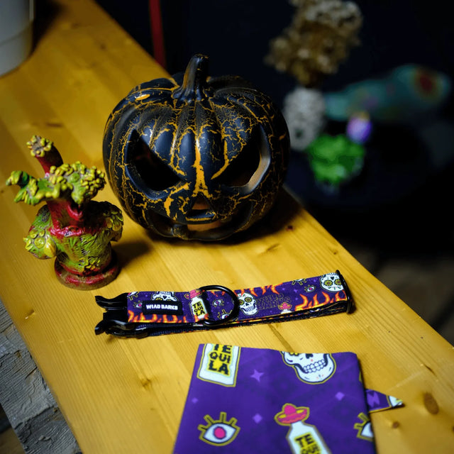 wild barks halloween collection