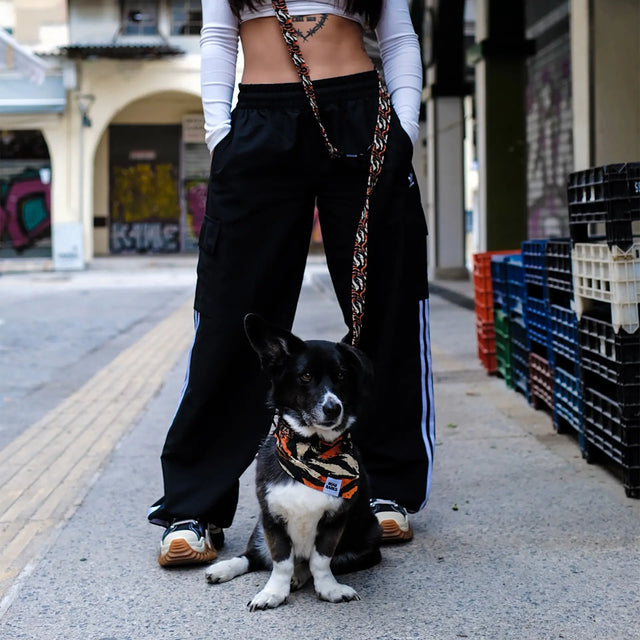 wild barks handsfree leashes collection