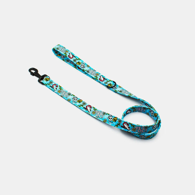 wild barks x DC dog leash