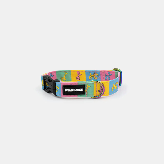 wild barks balloon dog dog collar