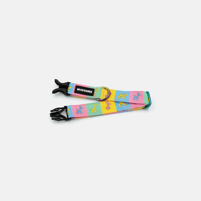wild barks balloon dog dog collar