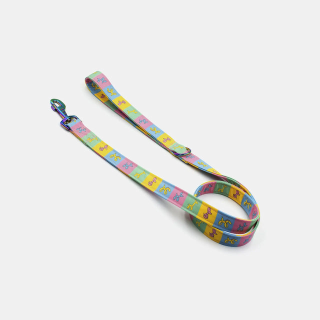 wild barks balloon dog dog leash
