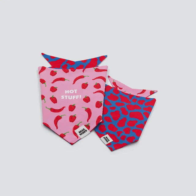 wild barks bandanas collection