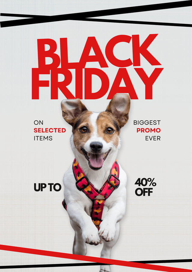 wild barks black friday deals