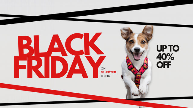 wild barks black friday deals