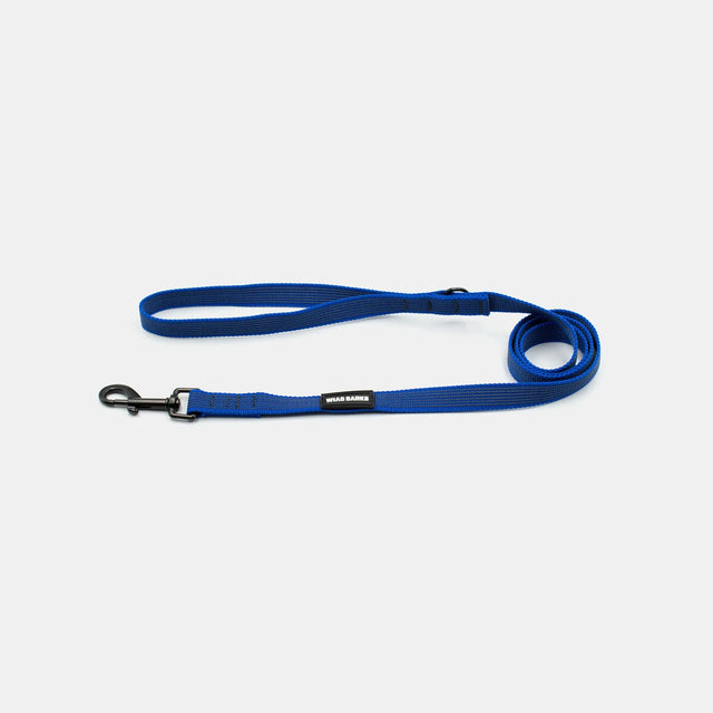 wild barks blue anti-slip dog leash