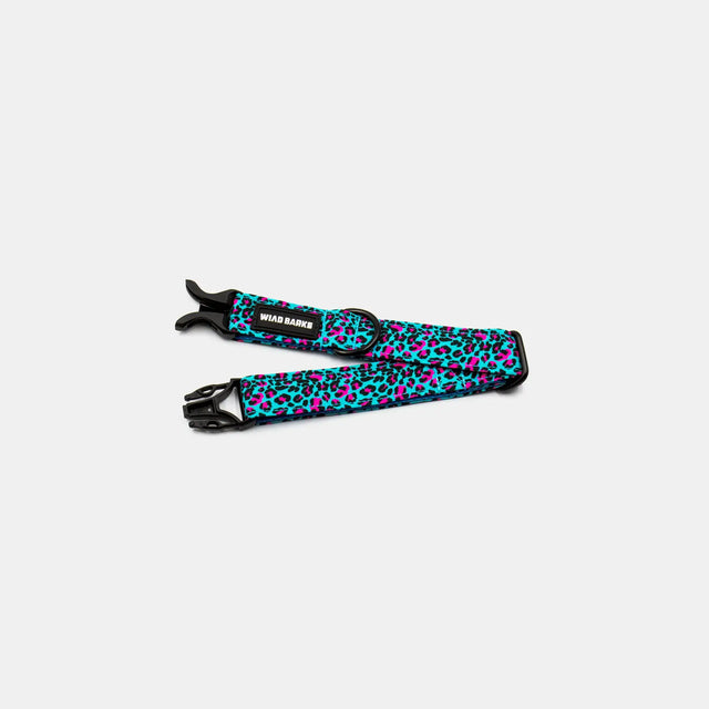 wild barks blue leopard dog collar
