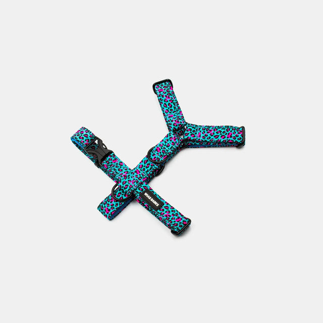 wild barks blue leopard dog harness