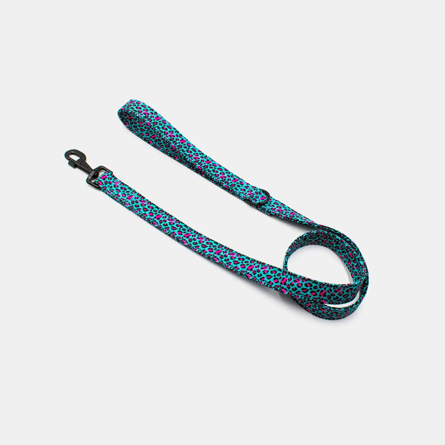 wild barks blue leopard dog leash