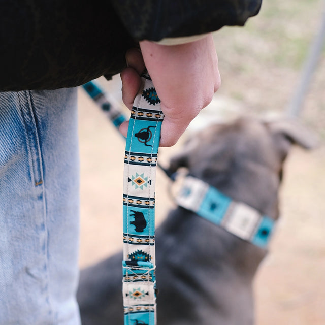 wild barks buffalo dog leash