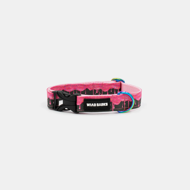 wild barks candy dog collar