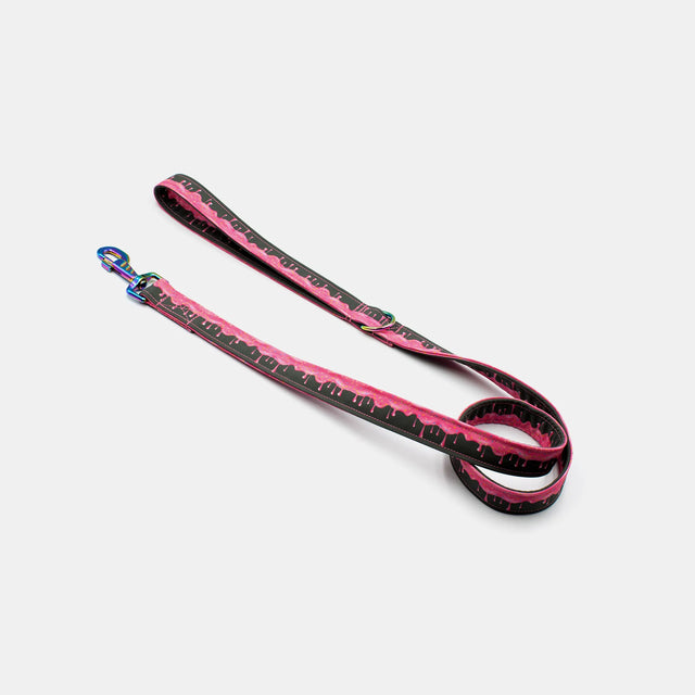 wild barks candy dog leash