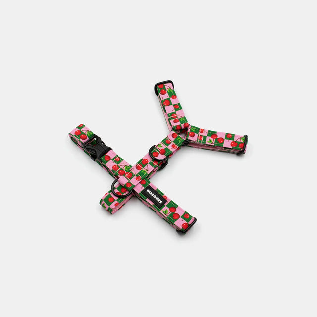 wild barks cherry dog harness