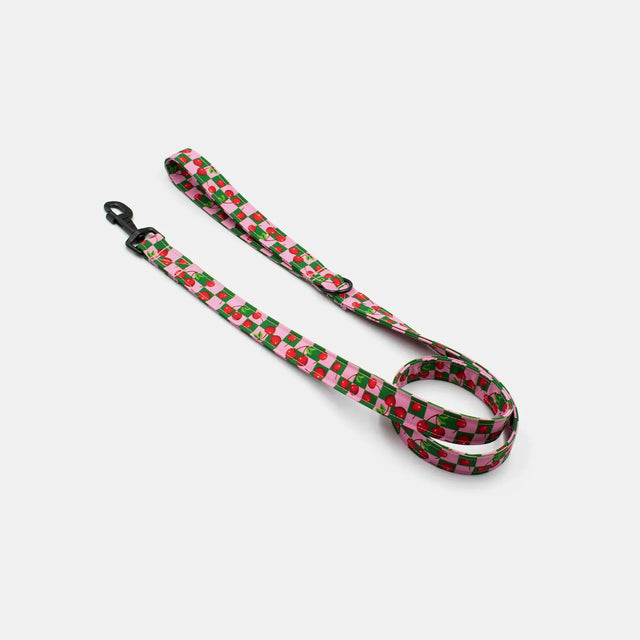 wild barks cherry dog collar