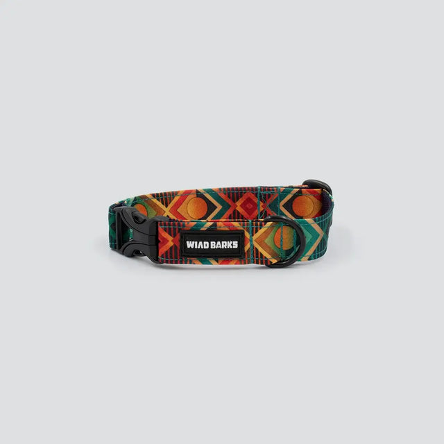 wild barks collars collection