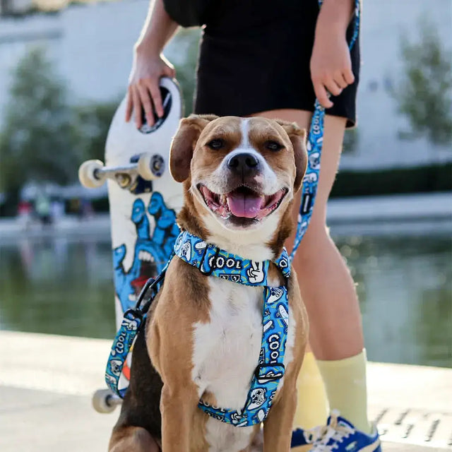 wild barks cool vibes dog harness
