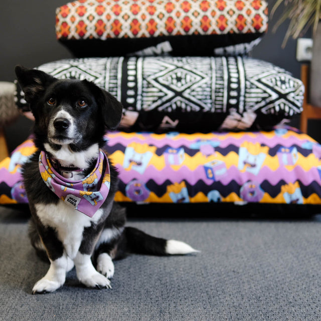 wild barks dog beds