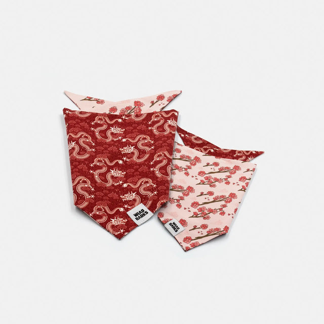 wild barks dragon dog bandana