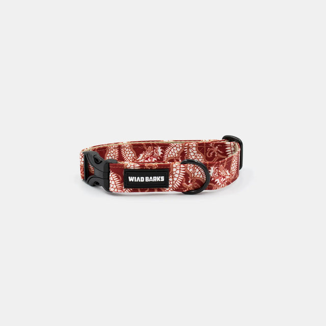 wild barks dragon dog collar