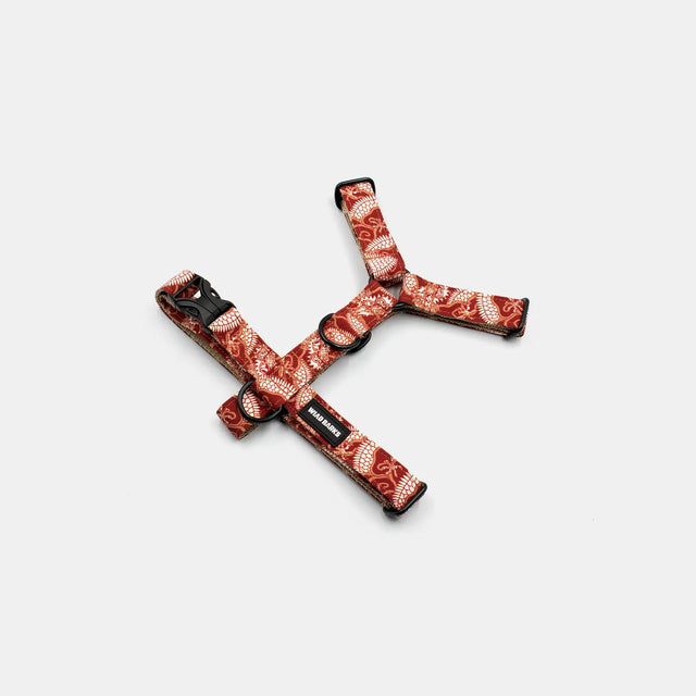 wild barks dragon dog harness