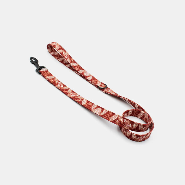 wild barks dragon dog leash
