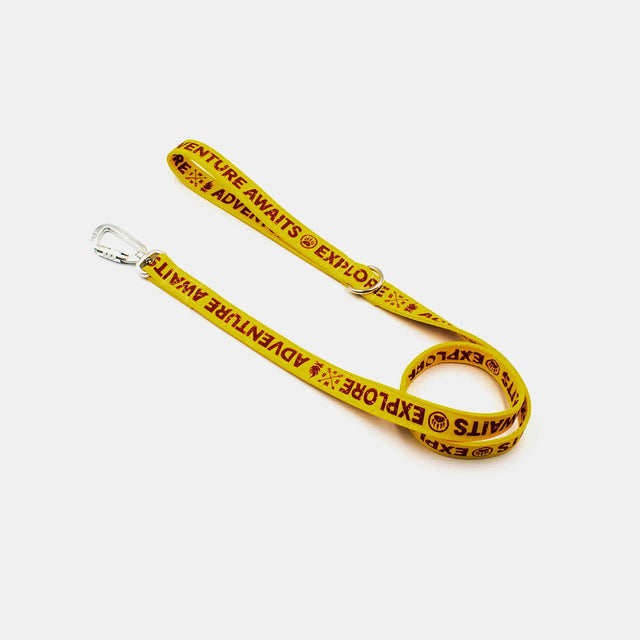 wild barks explore dog leash