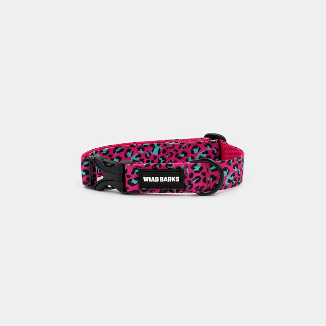 wild barks fuchsia leopard dog collar