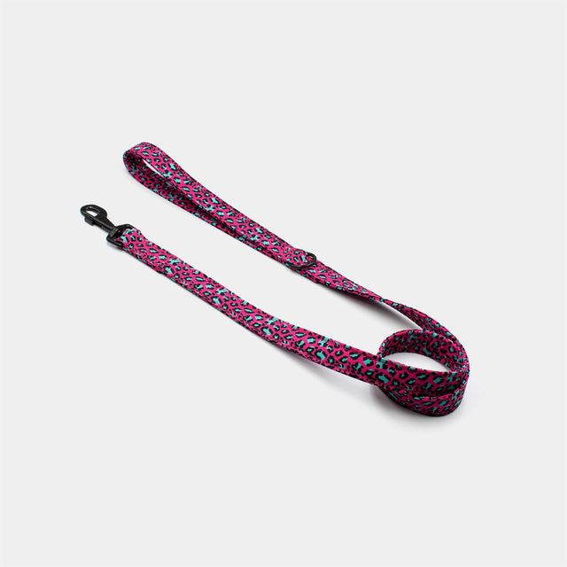 wild barks fuchsia leopard dog leash