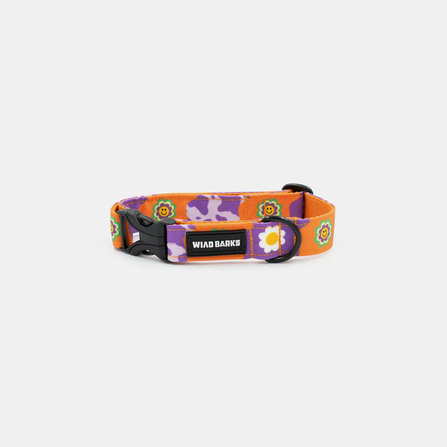 wild barks funky daisy dog collar
