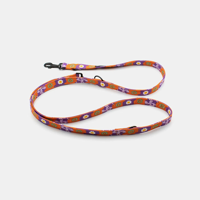 wild barks funky daisy hands-free dog leash