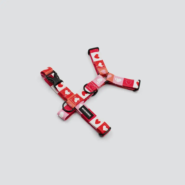 wild barks harnesses collection