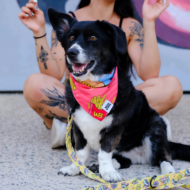 wild barks junk food dog bandana