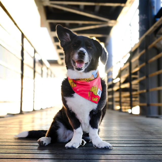 wild barks junk food dog bandana