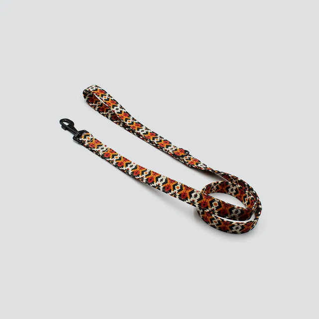 wild barks leashes collection