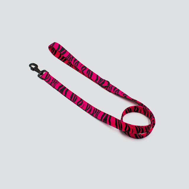 wild barks dog leashes collection