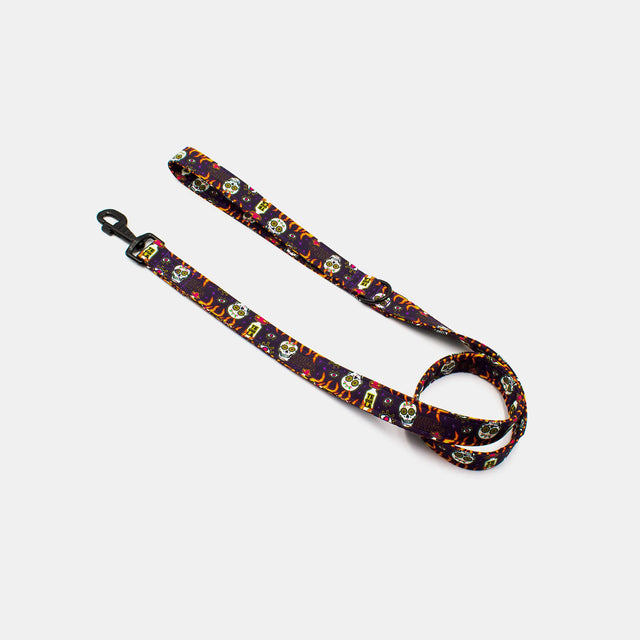 wild barks los muertos dog leash