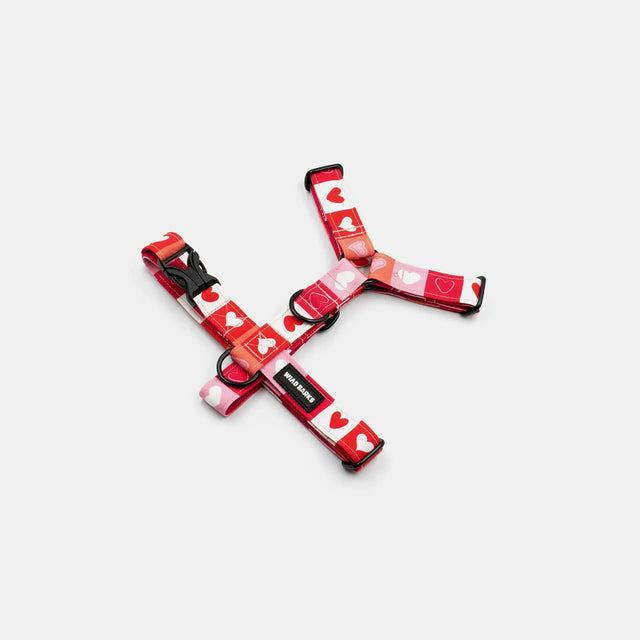 wild barks love dog harness