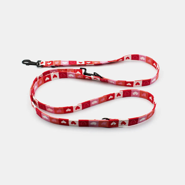 wild barks love hands-free dog leash