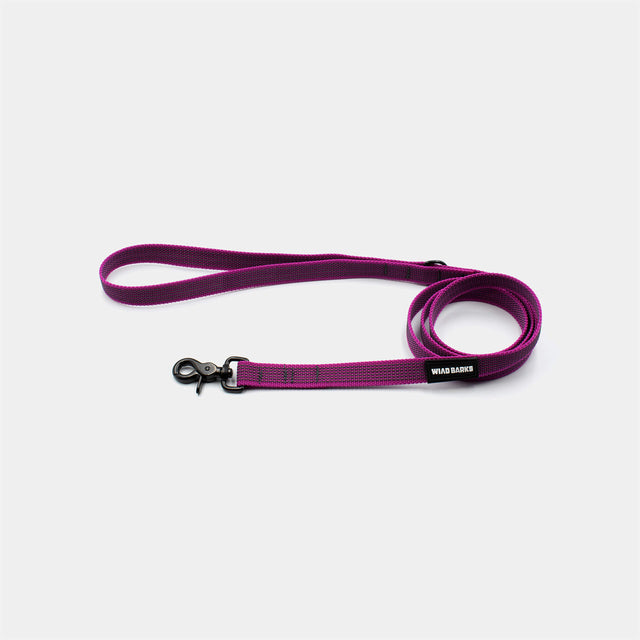 Anti-slip dog leash