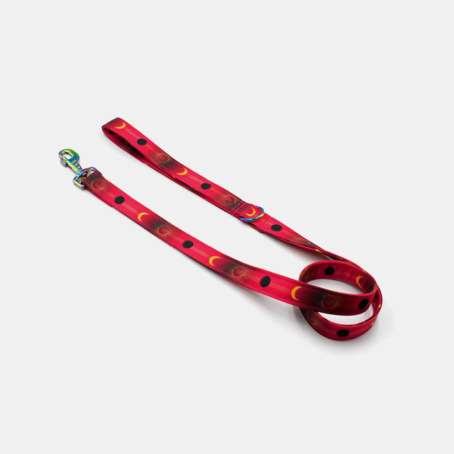 wild barks moon phase dog leash