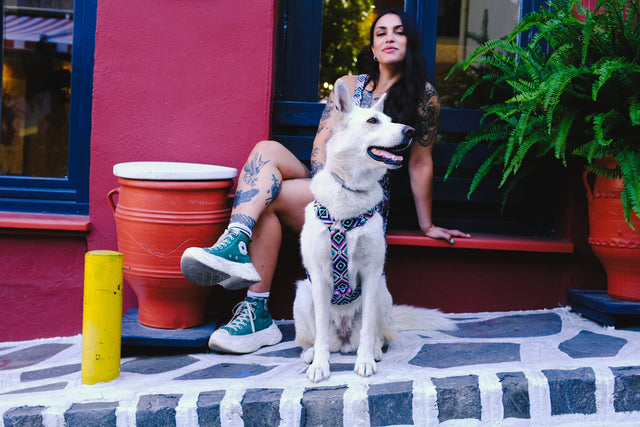 wild barks fall 2027 collection