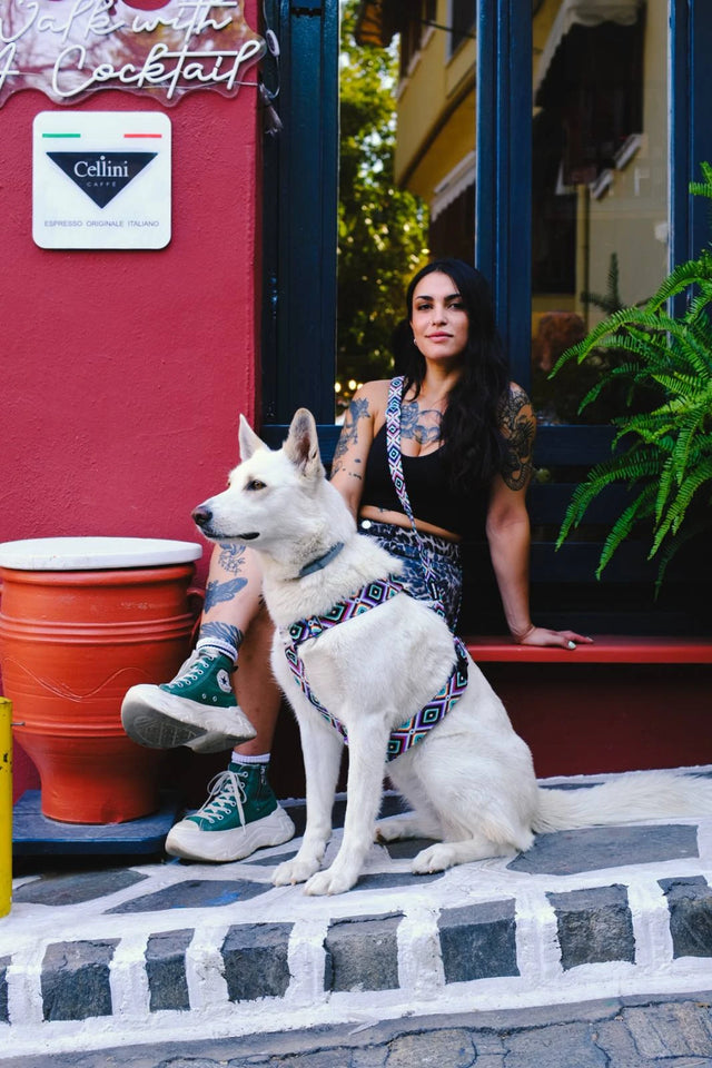 wild barks fall 2027 collection