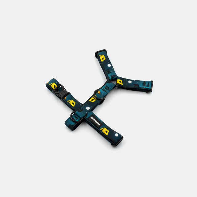 wild barks night campers σαμαράκι σκύλου