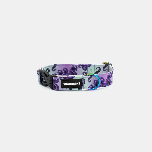 wild barks octopus dog collar